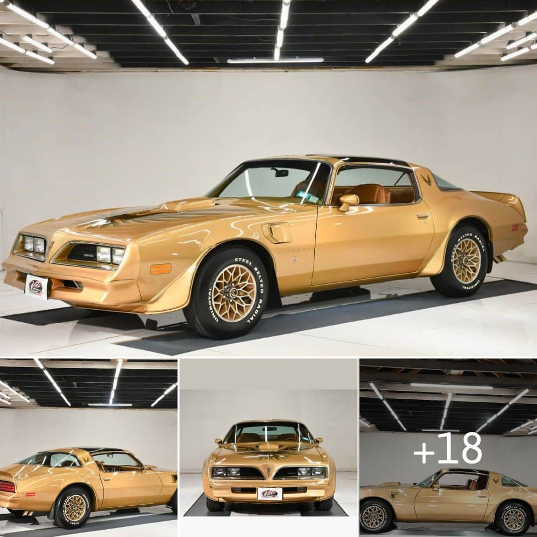 1978 Pontiac Trans Am Special Gold Edition